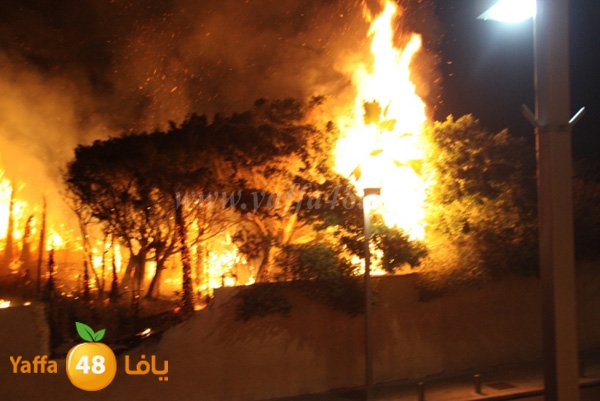 fire minas2 sterer (4).JPG